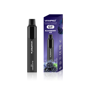 GT-Blackberry Ice Non-rechargable Disposable Vape For Bars
